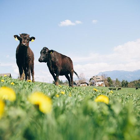 Alpin Farm Birke - Oberweidacherhof Колалбо Екстериор снимка