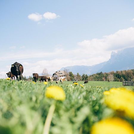 Alpin Farm Birke - Oberweidacherhof Колалбо Екстериор снимка