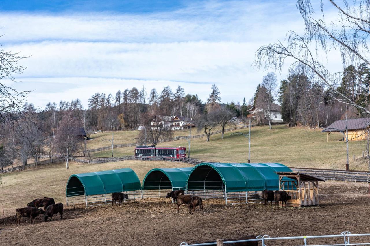 Alpin Farm Birke - Oberweidacherhof Колалбо Екстериор снимка